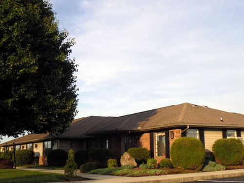 houses with green trees