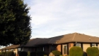 houses with green trees